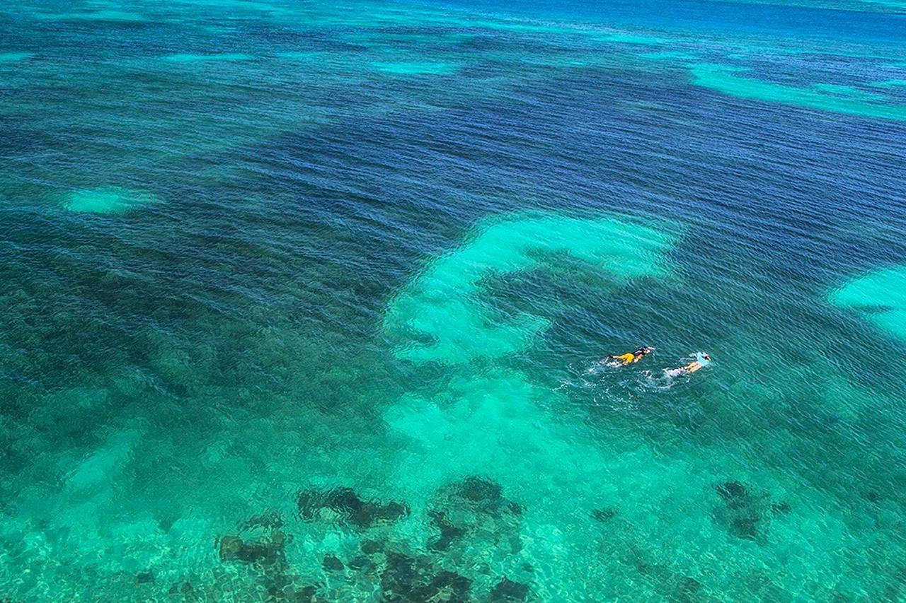 キーウェスト Leeward Isleヴィラ エクステリア 写真